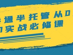 速卖通半托管从0到1实战必修课,开店/产品发布/选品/发货/广告/规则/ERP/干货等