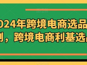 2024年跨境电商选品案例，跨境电商利基选品（更新）