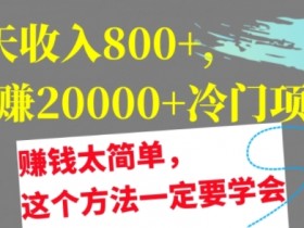 1天收入8张，月赚2w+冷门项目，赚钱太简单，这个方法一定要学会【干货】
