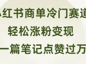 小红书商单冷门赛道 一篇笔记点赞过万 轻松涨粉变现