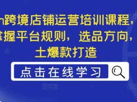 Ozon跨境店铺运营培训课程,快速掌握平台规则,选品方向,本土爆款打造