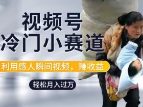 利用感人瞬间视频,赚视频号分成计划收益,操作简单,新手小白轻松上手