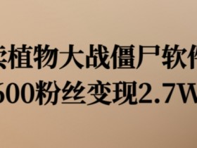 卖植物大战僵尸软件，600粉丝变现2.7W【揭秘】