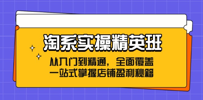 图片[1]-淘系实操精英班：从入门到精通，全面覆盖，一站式掌握店铺盈利秘籍-云上仙人资源网