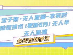 宝子哥·无人直播-非实时防风技术(更新8月)无人半无人直播