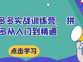 最新拼多多实战训练营, 拼多多从入门到精通