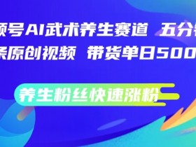视频号AI武术养生赛道,五分钟一条原创视频,带货单日几张,养生粉丝快速涨粉【揭秘】