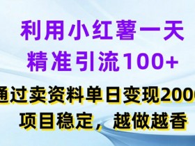 利用小红书一天精准引流100+,通过卖项目单日变现2k+,项目稳定,越做越香【揭秘】