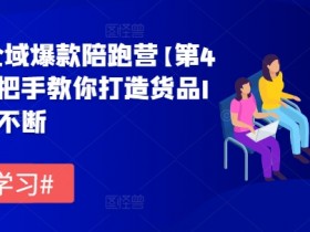 货品IP全域爆款陪跑营【第4期】,手把手教你打造货品IP,爆款不断