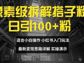 像素级拆解搭子粉,日引100+,小白看完可上手,最新变现思路详解【揭秘】