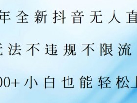 2024年全新抖音无人直播技术玩法，日入2k，小白也能轻松上手