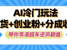 AI冷门玩法,带货+创业粉+分成收益,带你弯道超车,实现逆风翻盘【揭秘】