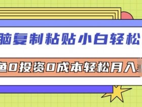 无脑复制粘贴小白轻松上手，咸鱼0投资0成本轻松月入W+