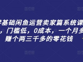 零基础闲鱼运营卖家篇系统课程,门槛低,0成本,一个月多赚个两三千多的零花钱