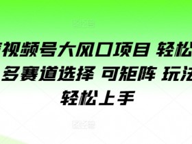 微信视频号大风口项目 轻松月入过万 多赛道选择 可矩阵 玩法简单轻松上手