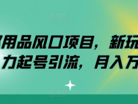 情趣用品风口项目，新玩法暴力起号引流，月入万