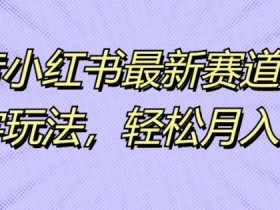 抖音小红书最新赛道,生僻字玩法,轻松月入过万