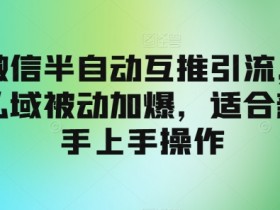 微信半自动互推引流,私域被动加爆,适合新手上手操作