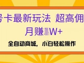 号卡最新玩法,高佣金当日出单,月赚1W+