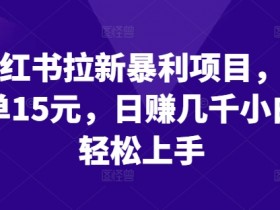 小红书拉新暴利项目,一单15元,日赚几千小白轻松上手【揭秘】