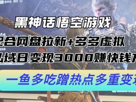 黑神话悟空游戏配合网盘拉新+多多虚拟+私域日变现3k+赚快钱方法,一鱼多吃蹭热点多重变现【揭秘】