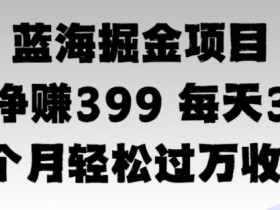 蓝海暴力,一单净赚399每天30分 1个月轻松4位数收入