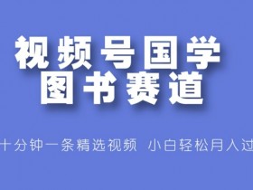 视频号国学图书赛道,十分钟一条精选视频,小白轻松月入过万