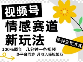 视频号情感赛道全新玩法，5分钟一条原创视频，操作简单易上手，日入5张
