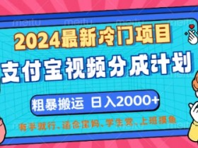 2024最新冷门项目，支付宝视频分成计划，直接粗暴搬运，有手就行
