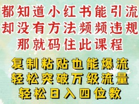 小红书靠复制粘贴一周突破万级流量池干货,以减肥为例,每天稳定引流变现四位数【揭秘】