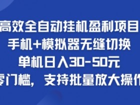高效全自动挂ji盈利项目,单机日入30-50元,零门槛,支持批量放大操作
