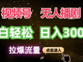视频号蓝海项目，无人播剧拉爆流量，小白也能轻松日入3K
