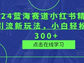 2024蓝海赛道小红书精品壁纸引流新玩法,小白轻松日入300+