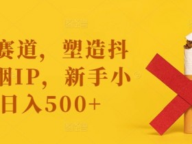 蓝海赛道，塑造抖音戒烟IP，新手小白日入500+【揭秘】