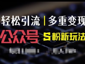 公众号S粉新玩法,简单操作、多重变现,每日收益1k