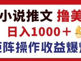 最新海外小说推文撸美金,日入1k+ 蓝海市场,矩阵放大收益爆炸