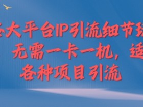 各大平台IP引流细节玩法,无需一卡一机,适合各种项目引流