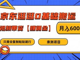 京东逛逛0基础搬运、视频带货【赚佣金】月入6000+【揭秘】