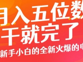 月入五位数,干就完了, 适合新手小白的全新火爆的电商项目