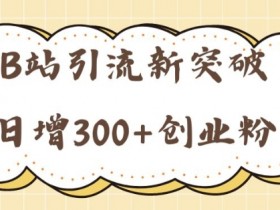 B站引流新突破:24年日增300+创业粉的高效攻略