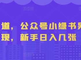 蓝海赛道,公众号小绿书男粉变现,新手日入几张