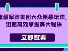 流量军师美团大众粗暴玩法,迅速高效掌握美大秘诀