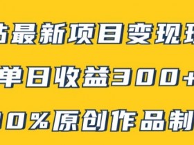 B站最新变现项目玩法,100%原创作品轻松制作,矩阵操作单日收益300+