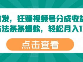 全网首发,狂赚视频号分成收益,掌握方法条条爆款,轻松月入1万+