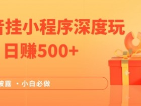 2024全网首次披露,抖音挂小程序深度玩法,日赚500+,简单、稳定,带渠道收入,小白必做【揭秘】