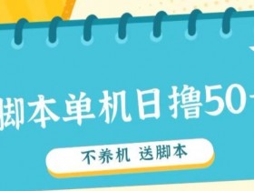 首码,0撸天花板不养机轻松日入100-500+ 送脚本