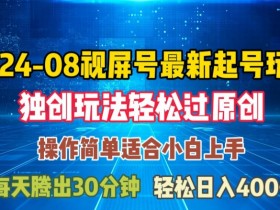 08月视频号最新起号玩法,独特方法过原创日入三位数轻轻松松【揭秘】