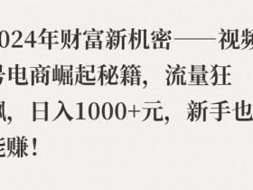 2024年财富新机密——视频号电商崛起秘籍,流量狂飙,日入1k元,新手也能赚