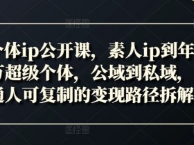 新个体ip公开课,素人ip到年入百万超级个体,公域到私域,普通人可复制的变现路径拆解