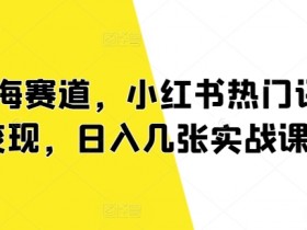 蓝海赛道,小红书热门评论变现,日入几张实战课程